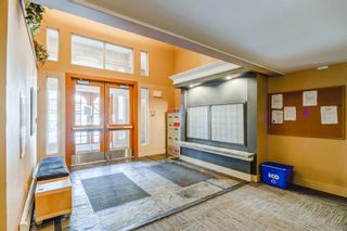 Photo 38: 130 30 Richard Court SW in Calgary: Lincoln Park Apartment for sale : MLS®# A2032679
