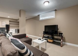 Photo 41: 35 Discovery Ridge Circle SW in Calgary: Discovery Ridge Detached for sale : MLS®# A1232411