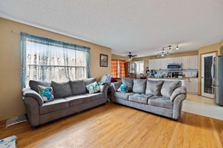 Photo 20: 28 Coral Springs Close NE in Calgary: Coral Springs Detached for sale : MLS®# A2120341