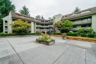Photo 24: 102 1210 PACIFIC Street in Coquitlam: North Coquitlam Condo for sale in "Glenview Manor" : MLS®# R2610587