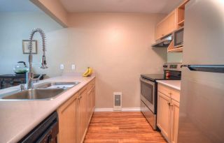 Photo 5: 203 2285 WELCHER Avenue in Port Coquitlam: Central Pt Coquitlam Condo for sale : MLS®# R2362207