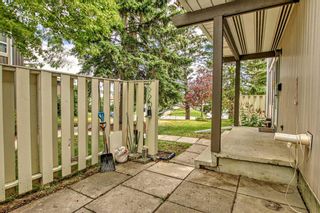 Photo 39: 1504 544 Blackthorn Road NE in Calgary: Thorncliffe Row/Townhouse for sale : MLS®# A2057918