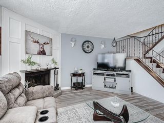 Photo 11: 127 TEMPLEBY Place NE in Calgary: Temple Detached for sale : MLS®# A1210227
