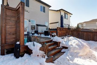 Photo 30: 460 Cranberry Circle SE in Calgary: Cranston Detached for sale : MLS®# A2033809