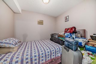 Photo 14: 204 92 Saddletree Court NE in Calgary: Saddle Ridge Apartment for sale : MLS®# A2126559