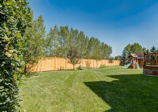 Photo 43: 176 Hawkmere Way: Chestermere Detached for sale : MLS®# A1129210