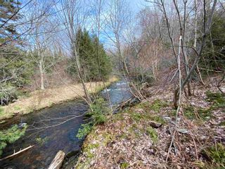 Photo 7: Sherbrooke Road in Greenvale: 108-Rural Pictou County Vacant Land for sale (Northern Region)  : MLS®# 202111683