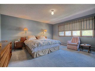 Photo 11: 2609 10 Street SW in Calgary: Mount Royal Residential Detached Single Family for sale : MLS®# C3617180