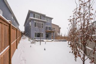Photo 40: 25 Evansborough Hill NW in Calgary: Evanston Detached for sale : MLS®# A2014293