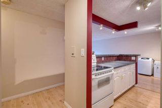 Photo 2: 308 816 89 Avenue SW in Calgary: Haysboro Apartment for sale : MLS®# A1228379