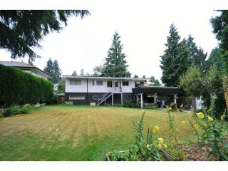 Photo 12: 817 COTTONWOOD Avenue in Coquitlam: Coquitlam West House for sale : MLS®# V1020762