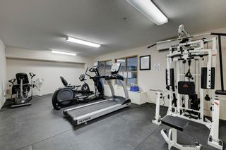 Photo 20: 236 428 Chaparral Ravine View SE in Calgary: Chaparral Apartment for sale : MLS®# A2039219