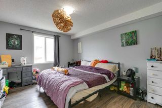 Photo 21: 219 3000 Citadel Meadow Point NW in Calgary: Citadel Apartment for sale : MLS®# A2130196
