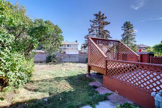 Photo 35: 36 Pinelore Place NE in Calgary: Pineridge Semi Detached (Half Duplex) for sale : MLS®# A2006468