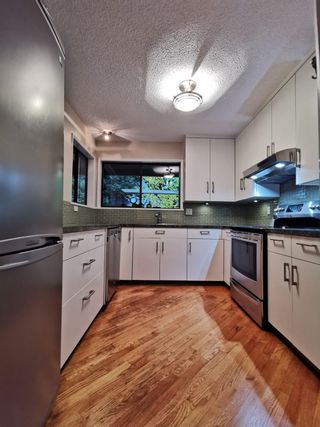Photo 8: 2120 WILLIAM Avenue in North Vancouver: Westlynn House for sale : MLS®# R2628321