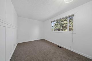Photo 11: 343 Pinetree Road NE in Calgary: Pineridge Detached for sale : MLS®# A2129760