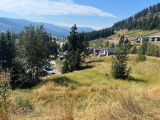 Photo 7: 1827 Mountain View Avenue, in Lumby: Vacant Land for sale : MLS®# 10261074