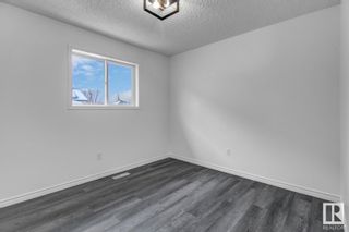 Photo 24: 4136 37 Avenue in Edmonton: Zone 29 House for sale : MLS®# E4320467