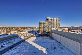 Photo 32: 1011 8880 Horton Road SW in Calgary: Haysboro Apartment for sale : MLS®# A2096199