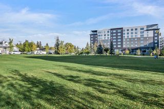 Photo 44: 29 Kentish Drive SW in Calgary: Kingsland Detached for sale : MLS®# A2081801