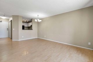 Photo 8: 304 1712 38 Street SE in Calgary: Forest Lawn Apartment for sale : MLS®# A2137869