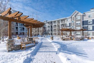 Photo 24: 408 100 Auburn Meadows Common SE in Calgary: Auburn Bay Apartment for sale : MLS®# A2117356