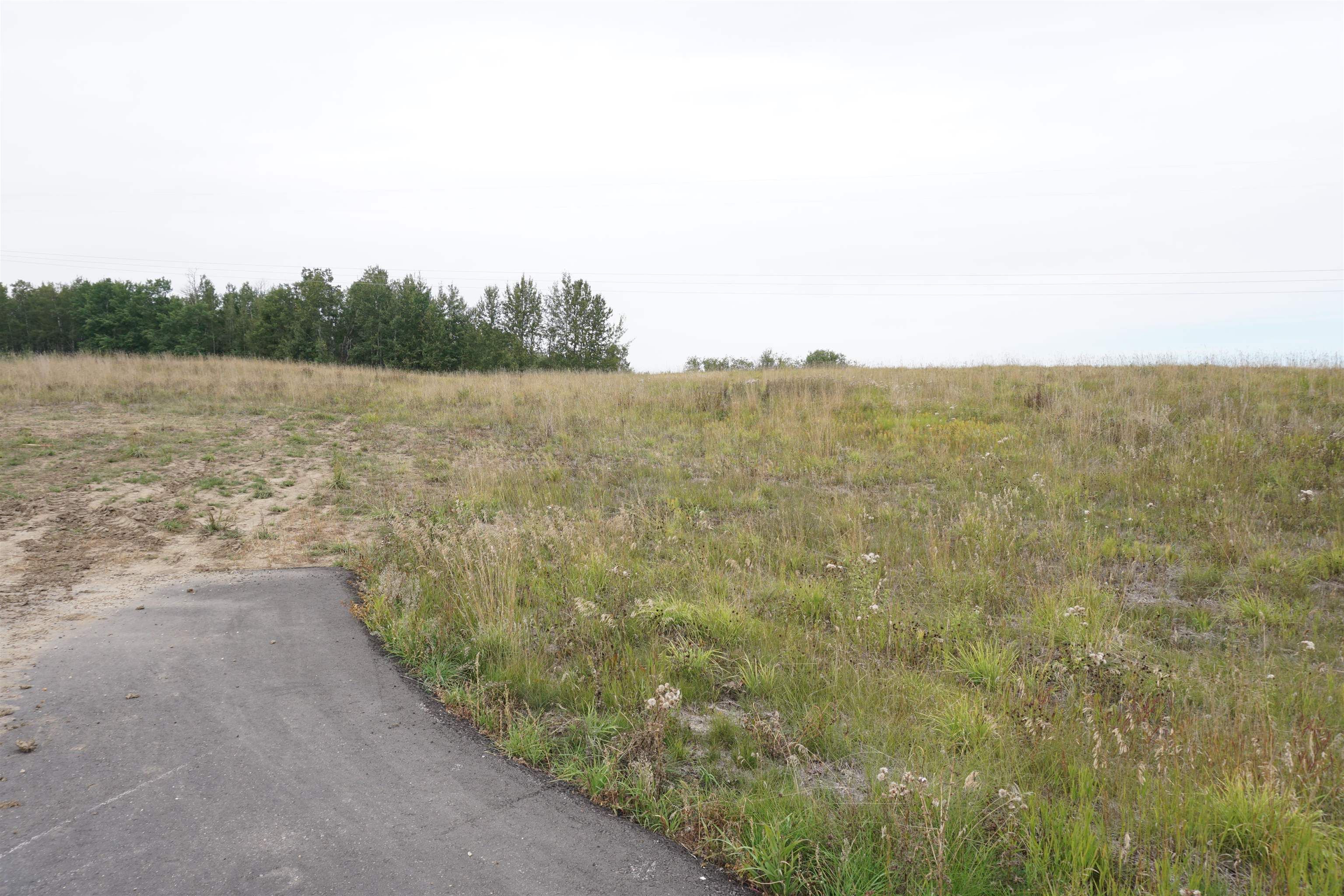 Main Photo: 17 53214 RR 13: Rural Parkland County Rural Land/Vacant Lot for sale : MLS®# E4270601