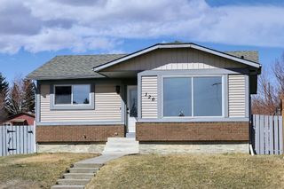 Photo 48: 120 Bernard Close NW in Calgary: Beddington Heights Detached for sale : MLS®# A1205413