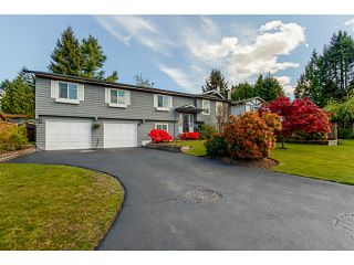 Photo 15: 11730 193B ST in Pitt Meadows: South Meadows House for sale : MLS®# V1119022
