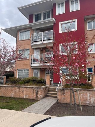 Photo 8: 302 1990 WESTMINSTER Avenue in Port Coquitlam: Glenwood PQ Condo for sale : MLS®# R2873410