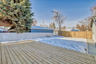 Photo 41: 16 Hoover Place SW in Calgary: Haysboro Detached for sale : MLS®# A2015634