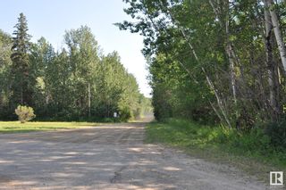 Photo 5: Twp 633 RR 232.2: Perryvale Land Commercial for sale : MLS®# E4307114