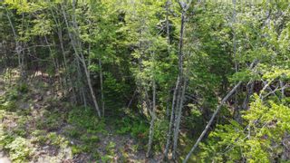 Photo 26: Lot Broad Lake Road in New Albany: Annapolis County Vacant Land for sale (Annapolis Valley)  : MLS®# 202215556