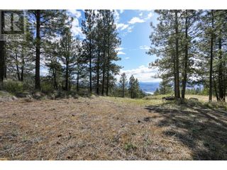 Photo 19: 222 Grizzly Place in Osoyoos: Vacant Land for sale : MLS®# 10310334