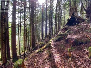 Photo 7: LOTS 3, 4, 5 E 9TH AVENUE in Prince Rupert: Vacant Land for sale : MLS®# R2872198