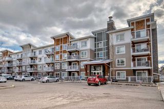 Main Photo: 3309 302 Skyview Ranch Drive NE in Calgary: Skyview Ranch Apartment for sale : MLS®# A2117920