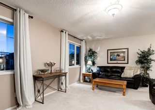Photo 30: 248 EVANSBROOKE Way NW in Calgary: Evanston Detached for sale : MLS®# A1221592