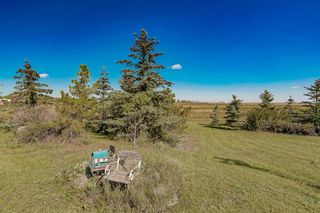 Photo 11: 130 South Shore Point in Rural Rocky View County: Rural Rocky View MD Detached for sale : MLS®# A2079147
