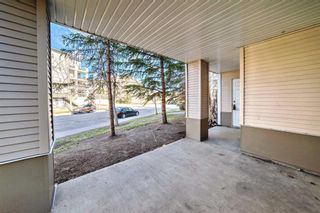 Photo 26: 107 4000 SOMERVALE Court SW in Calgary: Somerset Apartment for sale : MLS®# A2124089