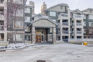 Main Photo: 254 35 Richard Court SW in Calgary: Lincoln Park Apartment for sale : MLS®# A2010748