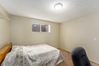 Photo 32: 193 Chapala Drive SE in Calgary: Chaparral Detached for sale : MLS®# A2125497