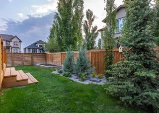 Photo 40: 202 Cranleigh View SE in Calgary: Cranston Detached for sale : MLS®# A2052949