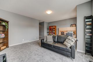 Photo 18: 167 Skyview Shores Crescent NE in Calgary: Skyview Ranch Detached for sale : MLS®# A2019286