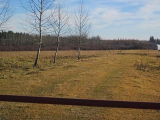 Photo 31: NW 24-54 RR 131: Niton Junction Rural Land for sale (Edson)  : MLS®# 32590