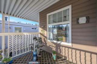 Photo 23: 62 2315 198 Street in Langley: Brookswood Langley Manufactured Home for sale in "Deer Creek Estates" : MLS®# R2833171