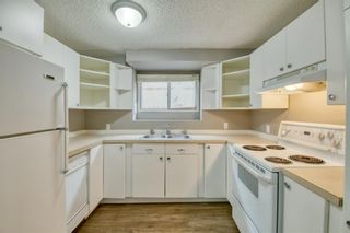 Photo 26: 219 26 Avenue NE in Calgary: Tuxedo Park Semi Detached (Half Duplex) for sale : MLS®# A2039098