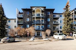 Photo 33: 302 33 Arbour Grove Close NW in Calgary: Arbour Lake Apartment for sale : MLS®# A2024734