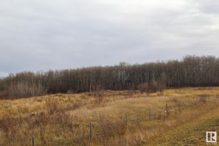 Photo 4: W4 62-11 7 NW: Rural St. Paul County Vacant Lot/Land for sale : MLS®# E4288352