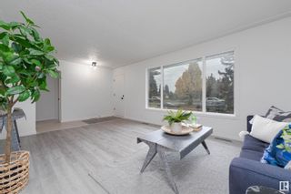 Photo 22: 6816 98 Avenue in Edmonton: Zone 19 House for sale : MLS®# E4370549