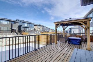 Photo 48: 210 Evansglen Drive NW in Calgary: Evanston Detached for sale : MLS®# A1080625